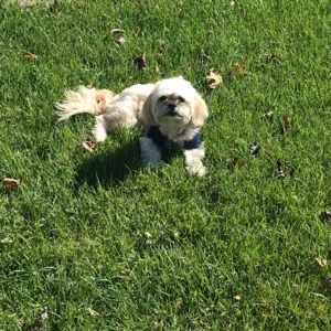 Meet your Posher, Sandra